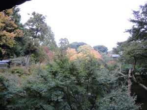 京都 紅葉 東福寺